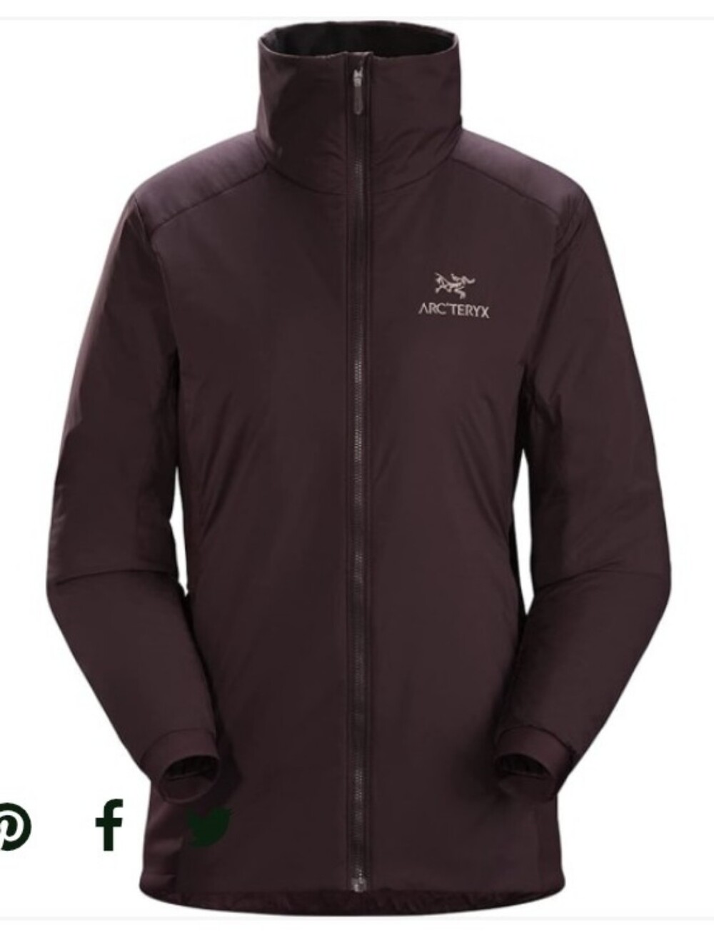 Arc'teryx Atom LT Jacket in Phantasm Large